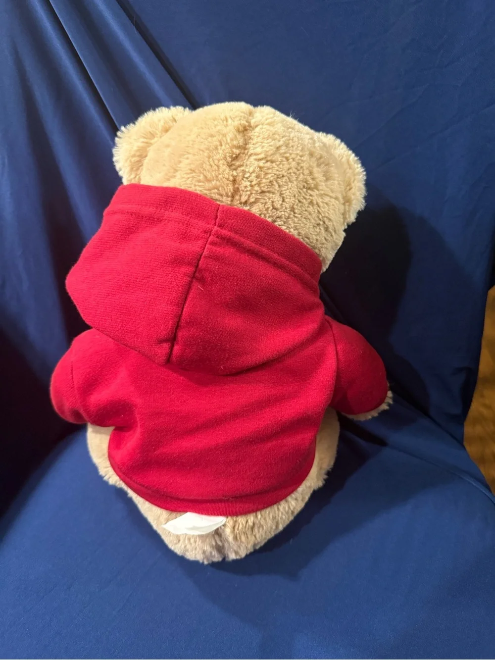 Aeropostale Teddy Bear Plush Red Hoodie 15” NWT A87